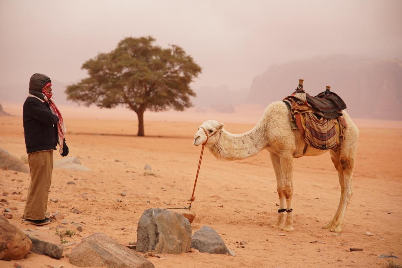 Hotel Magic Bedouin Star & Tours Wadi Rum Exteriér fotografie