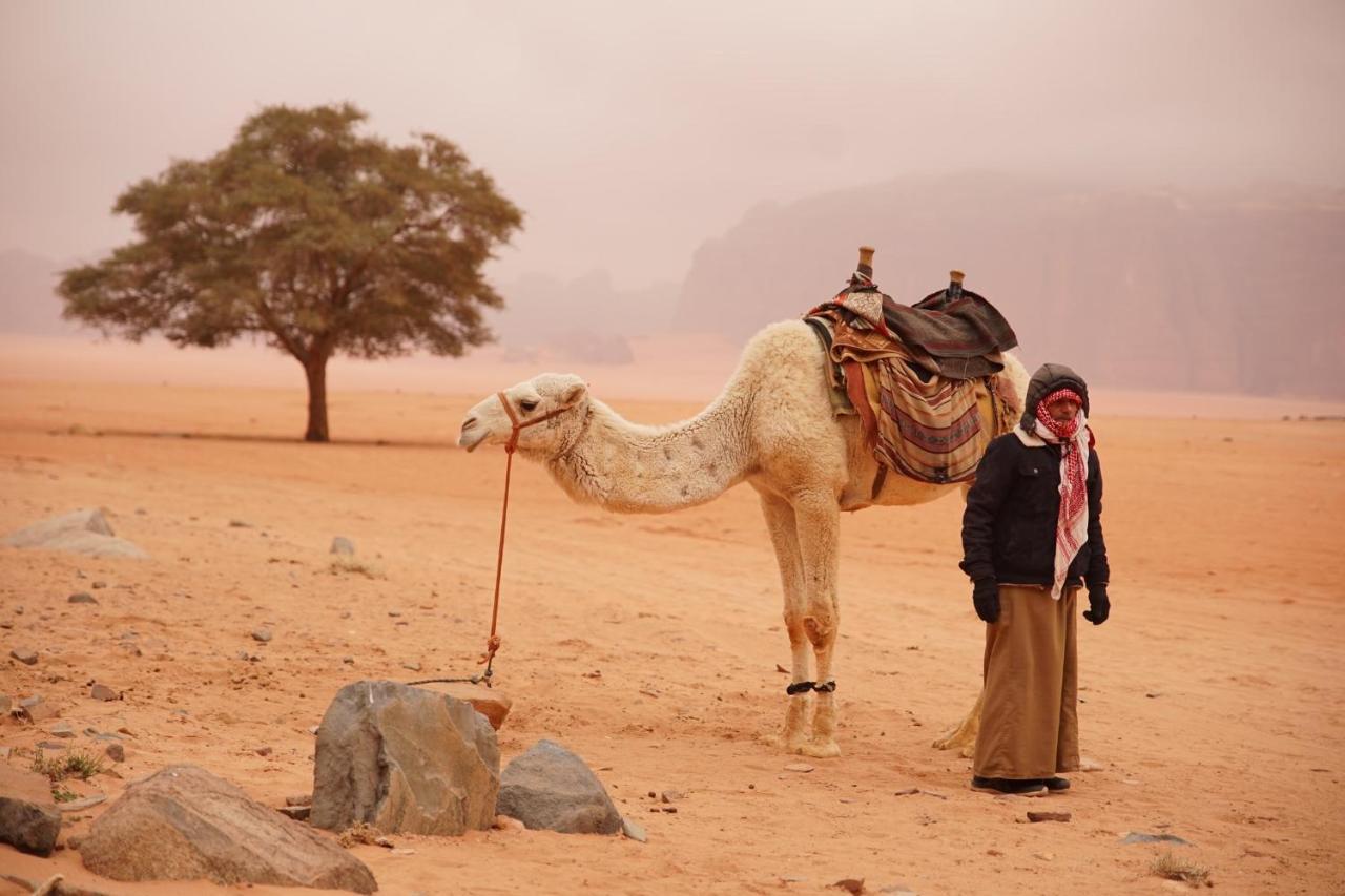 Hotel Magic Bedouin Star & Tours Wadi Rum Exteriér fotografie